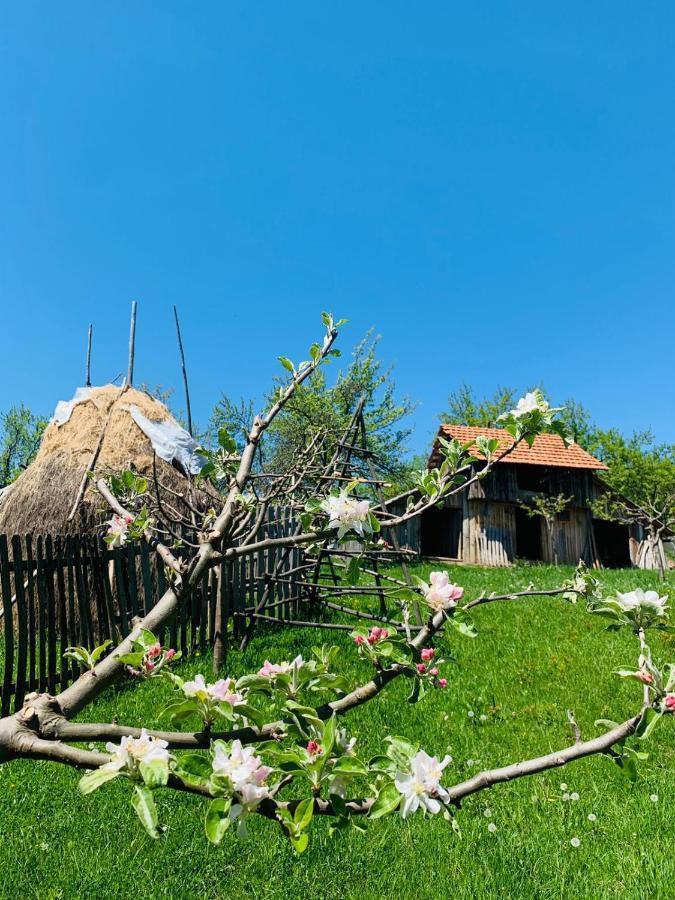 The Story Garden Hotel Corbi Exterior foto